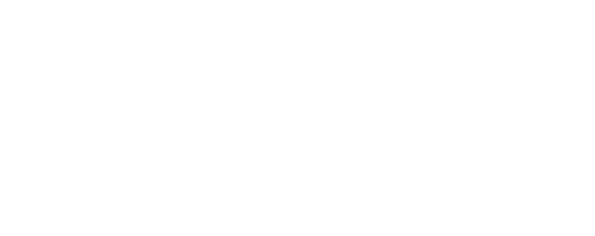 VBT USA Logo